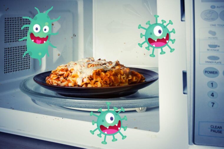Does Microwave Kill Bacteria? The Answer Will Shock You Vinoteca