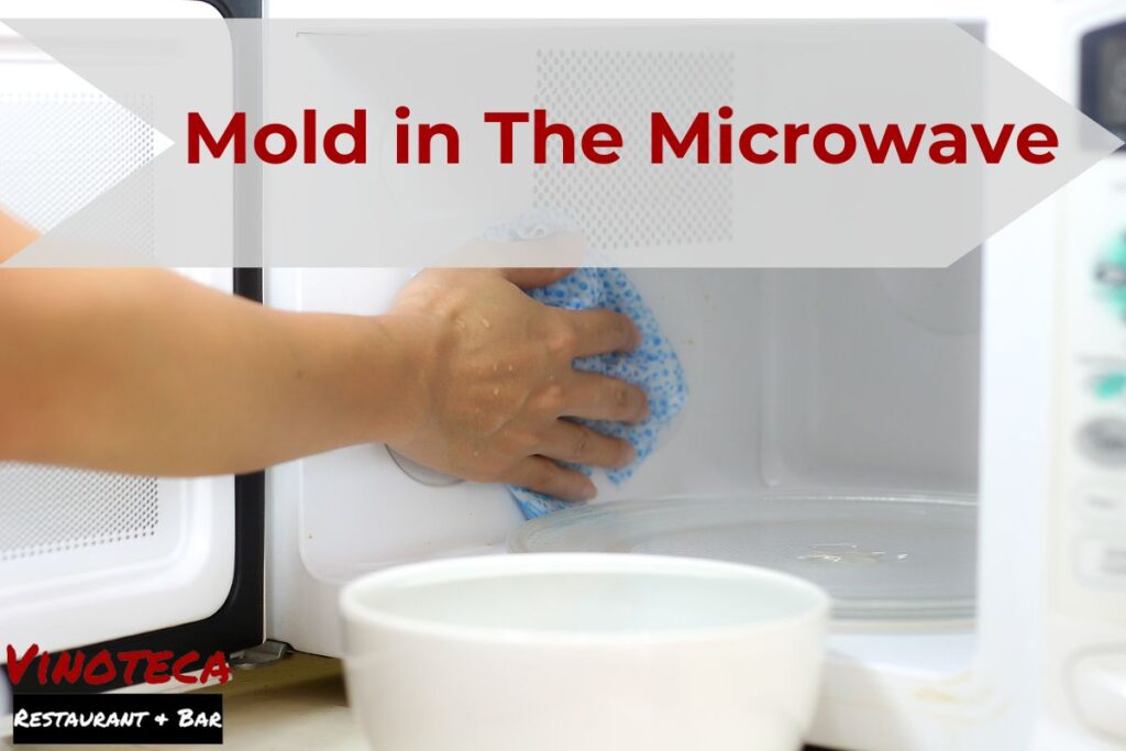 Mold In The Microwave Effective Solutions For Your Health And Home